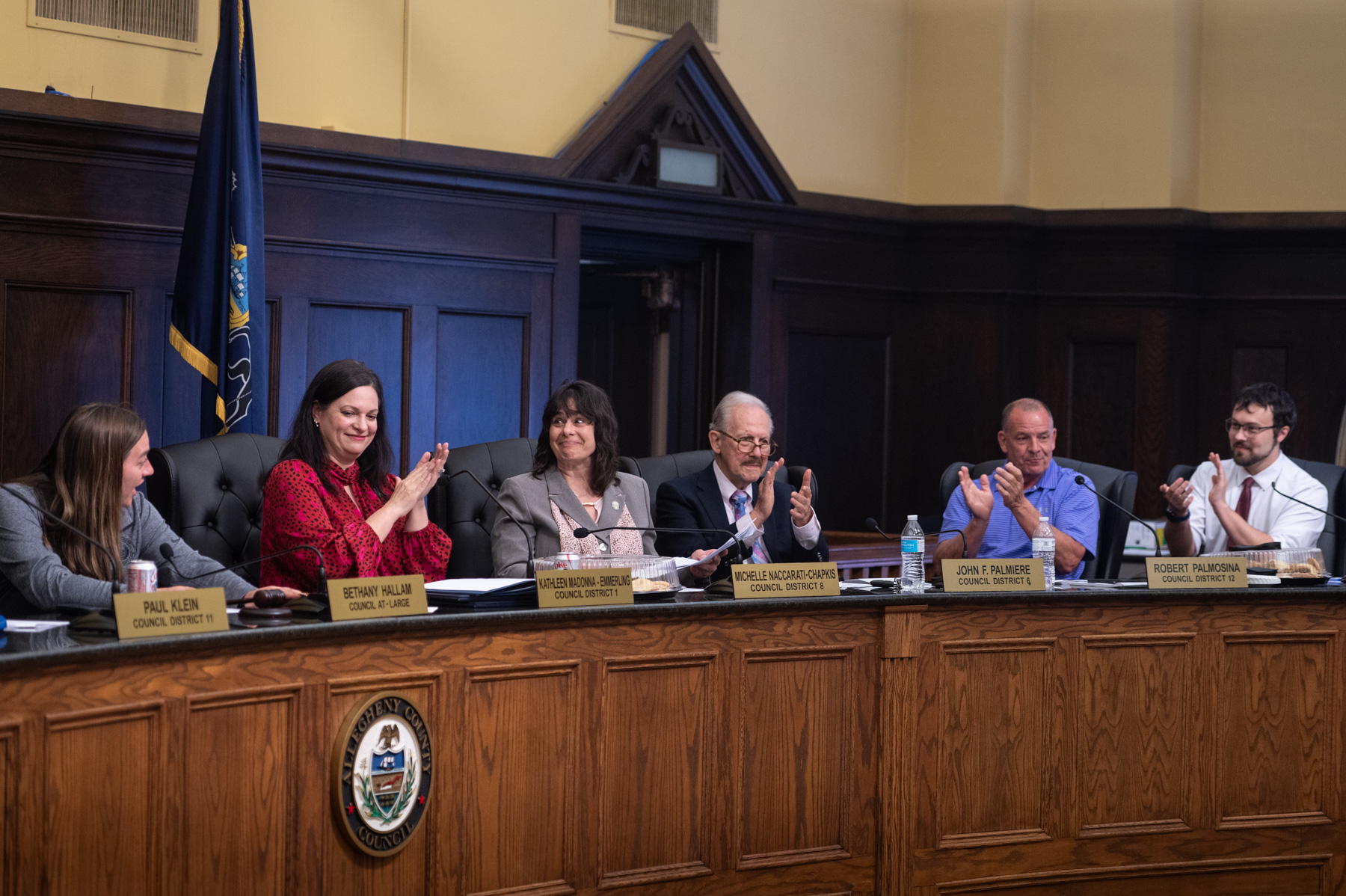 Allegheny County Council elects environmental advocate as president, replacing Catena