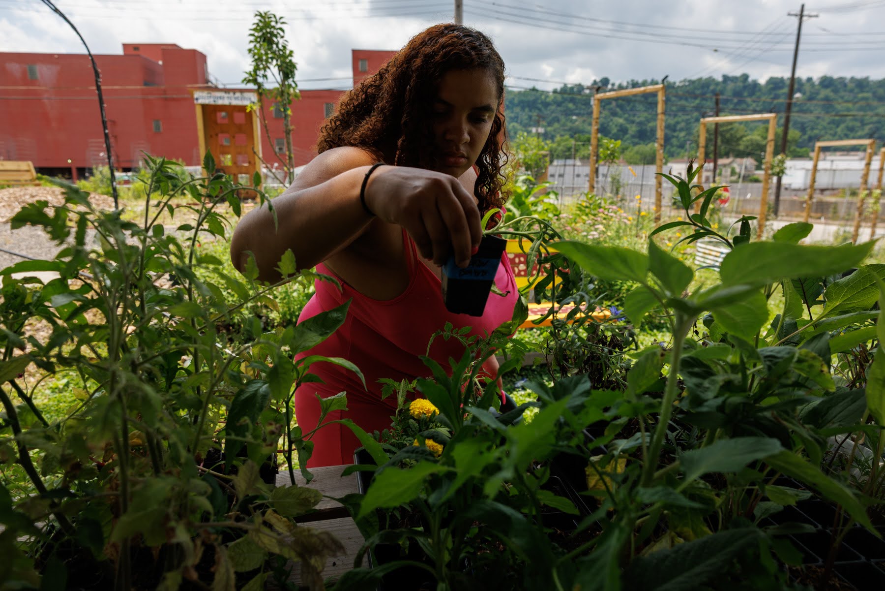 A woman in a pink top tends to plants in an outdoor garden, with buildings and greenery visible in the background.