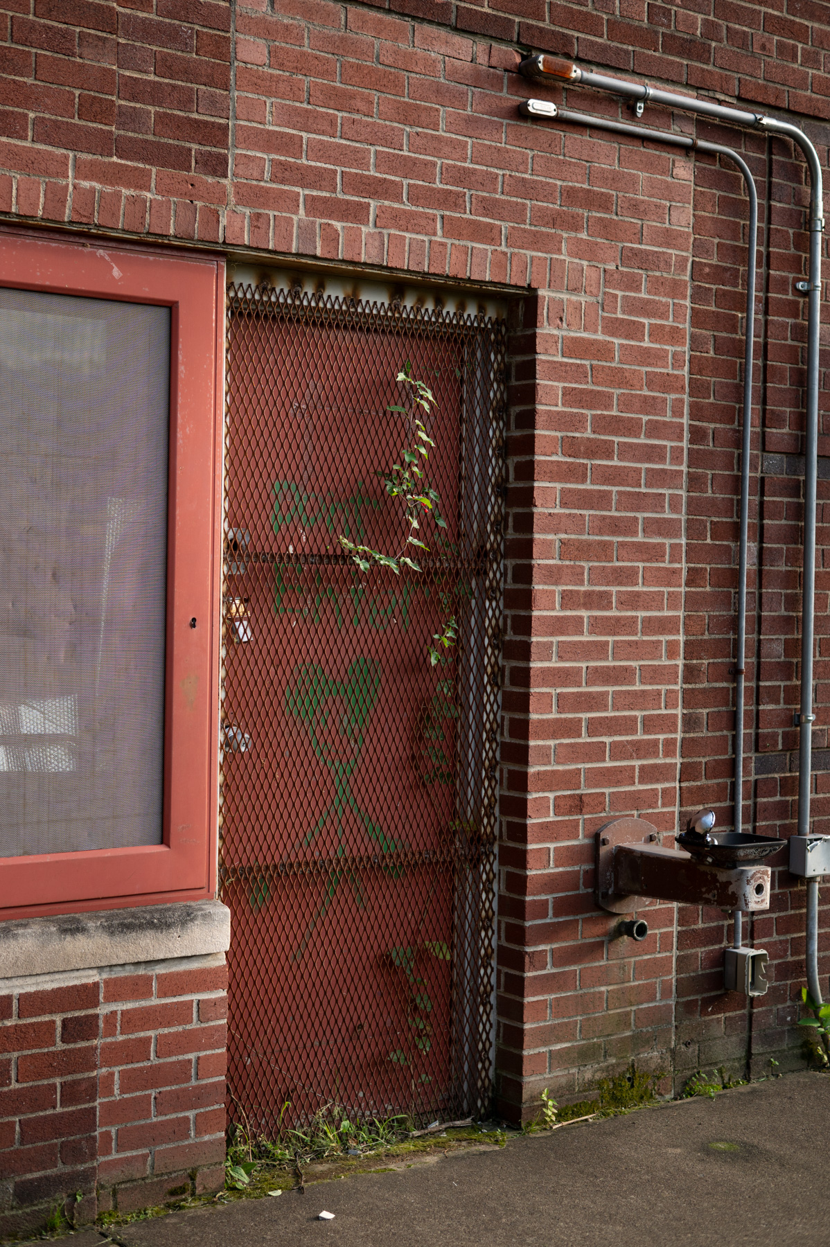 A red metal door with a mesh cover and some overgrown weeds, set in a brick wall near a closed window and outdoor water fountain.