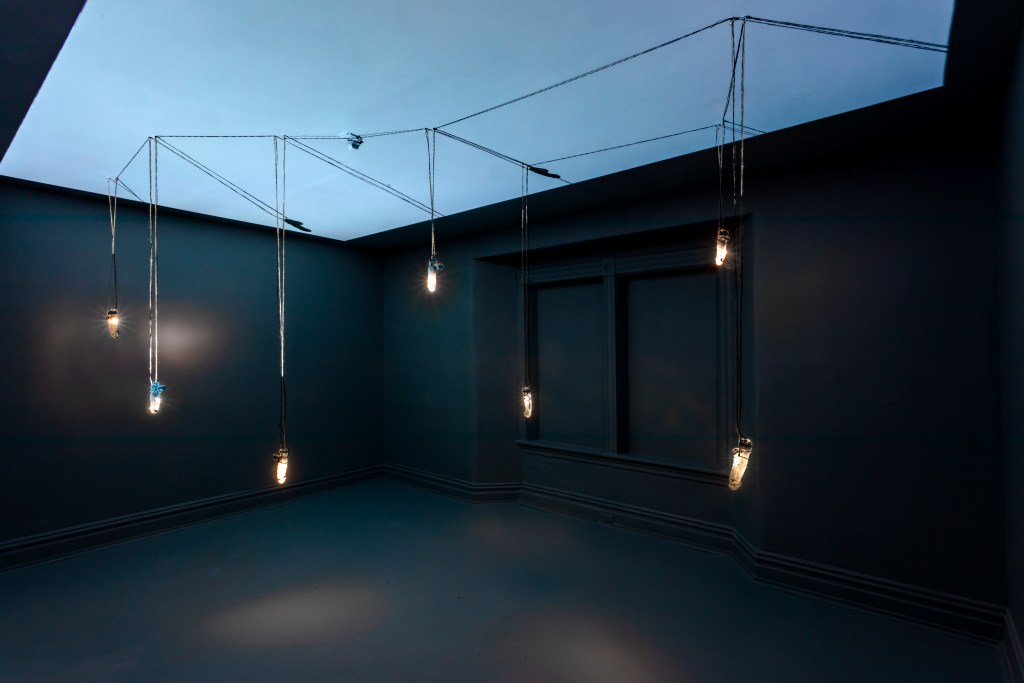 Glowing glass penis models hang from the ceiling in a dark room.